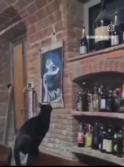 A Leap of faith