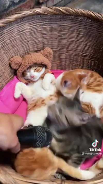 EEAAAA