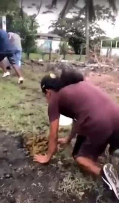 Que malitos son