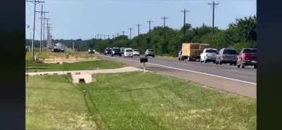 Suzuki carry running for their life