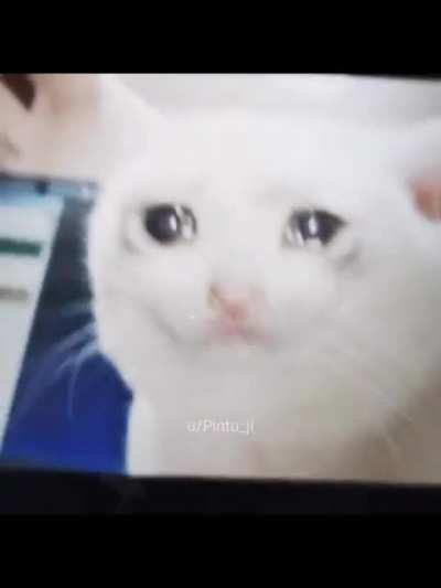 cry aarha hai 🥺👍