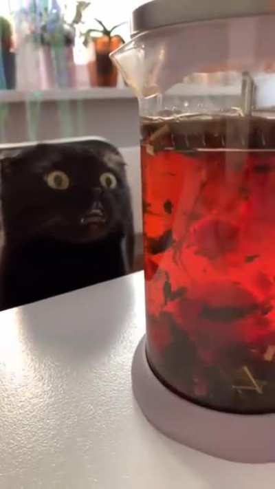 Do you see it?