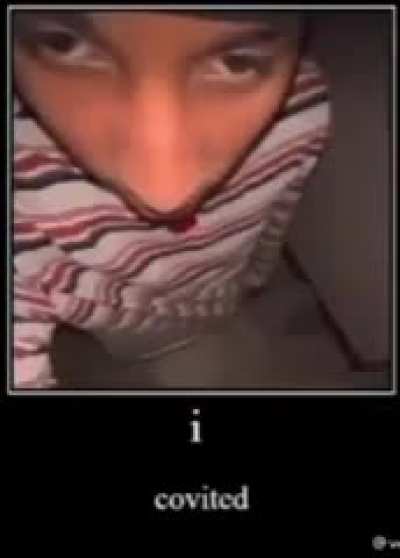 bovd