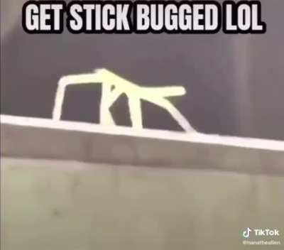 Maybe maybe maybe