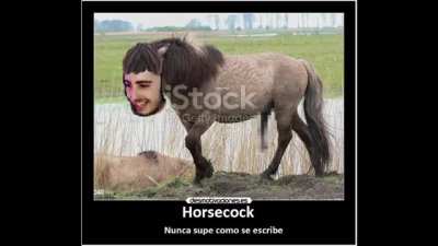 horsec*ck