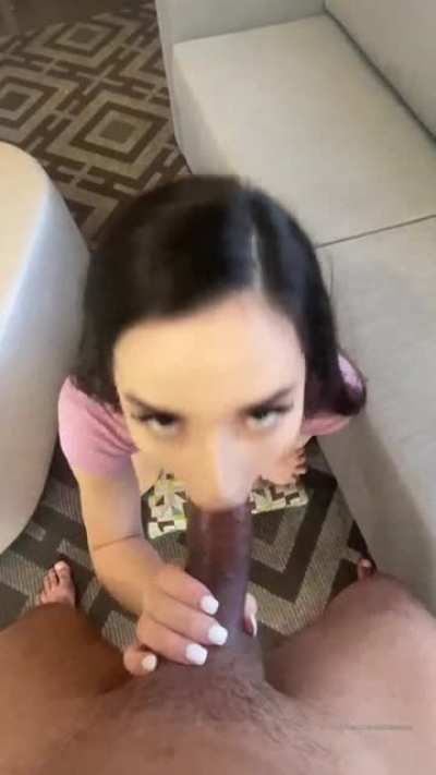 Aria lee