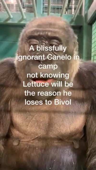 ✊😔🇲🇽