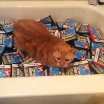 yes