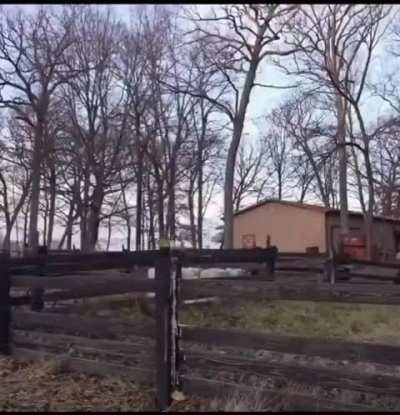 Bro blasts fire brick in his back yard with his bad ass laser