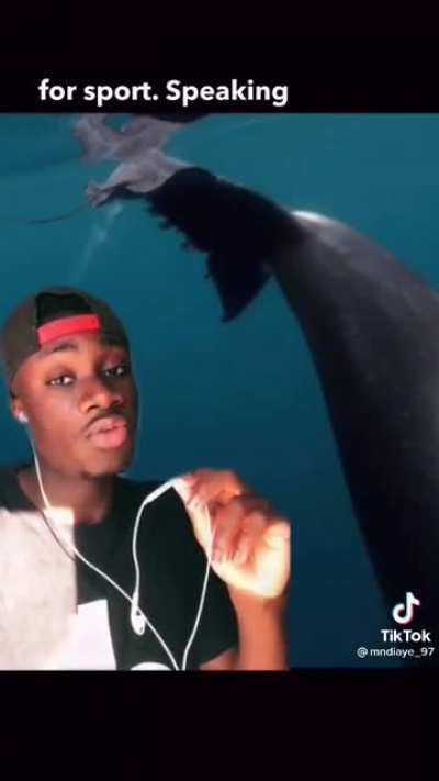 Nah. Orca whales EVILLLLLLL