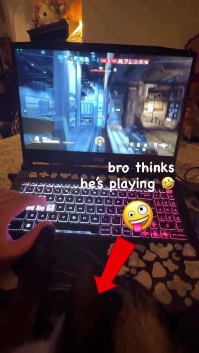 it&rsquo;s like giving your lil bro the unplugged controller
