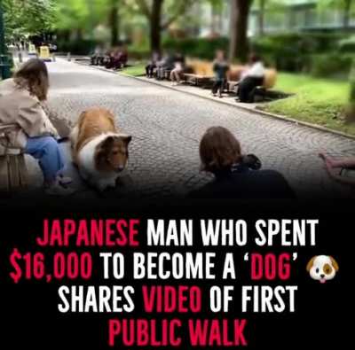 Noice dog