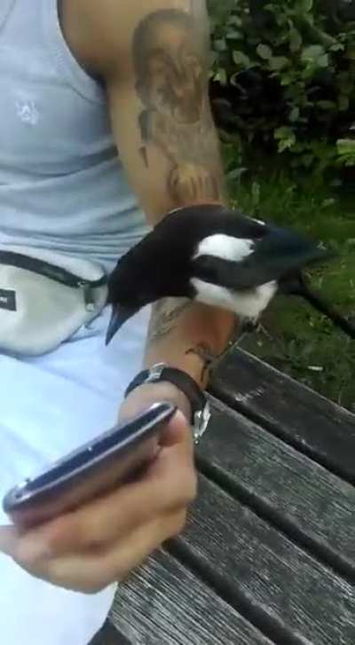 Joint thief