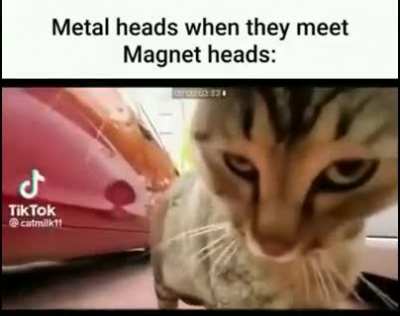 What are they arguing about?