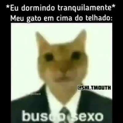 😼🤙
