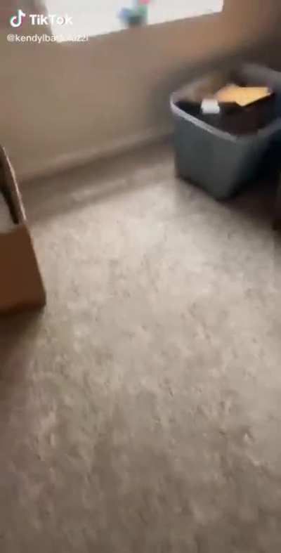 Never saw it coming