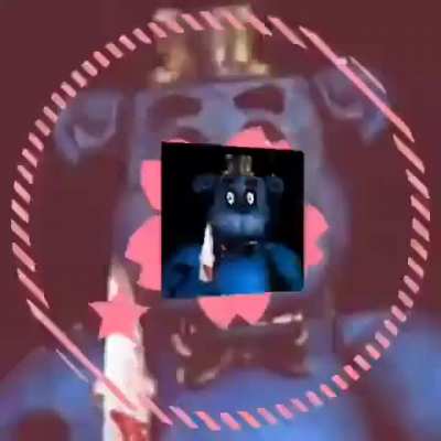 clam bear