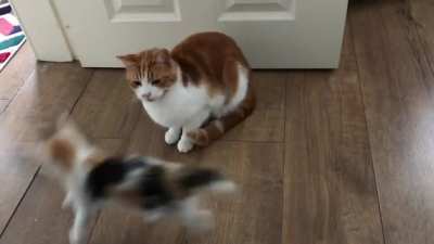Boop - you’re it!