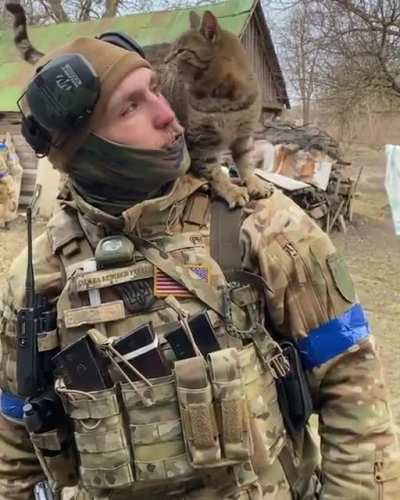 Cat!
