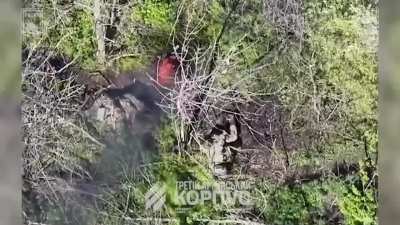 Ukrainian FPV kamikaze drones hit multiple Russian soldiers near Lyman. Ukraine's 60th Mechanized Brigade, Fatum drone battalion. Published 5/18/2026.