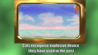 Talking Tom is Evil