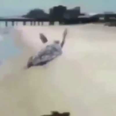 AAAAAAAAAAAAAA