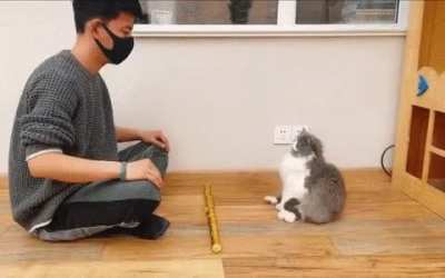 Котэ