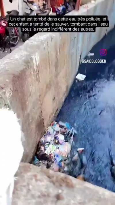 to save a cat.