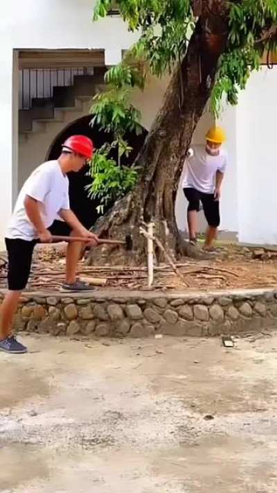 Hmm