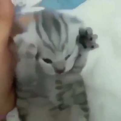 me when amogus