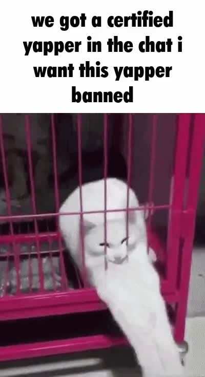 Rule