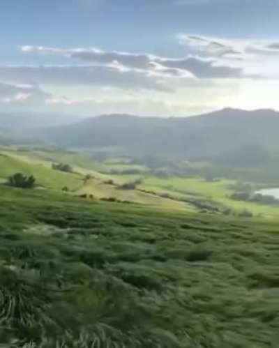 Ветер...