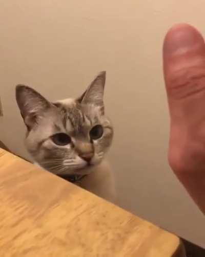 Solid tap