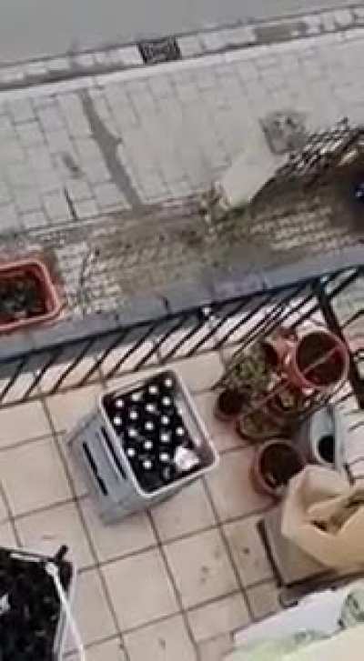 Подкат к соседке