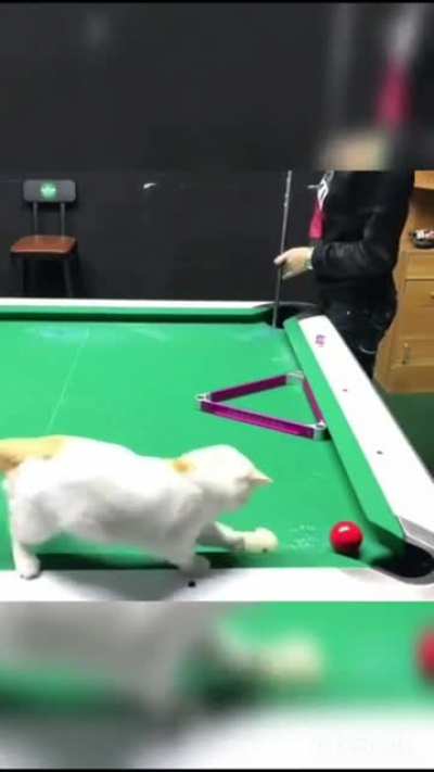 nice shot tho