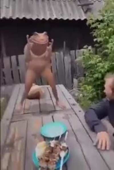 I have no words