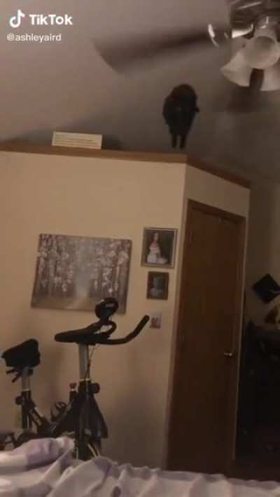 &ldquo;Oh&rdquo;