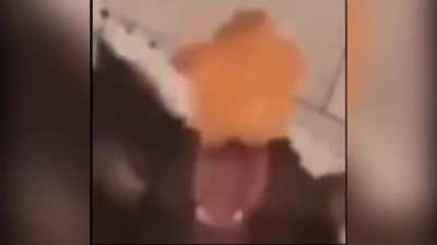 Bruhwawawaweeeee