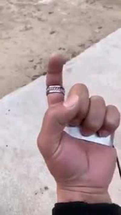 Ah&iacute; se los dejo