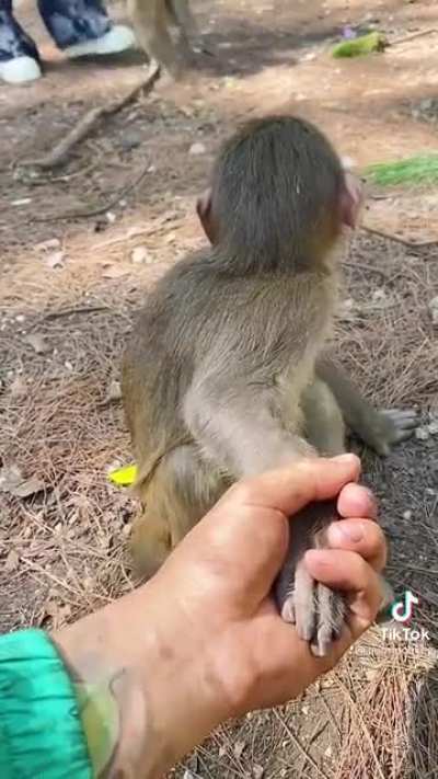 Holding hands