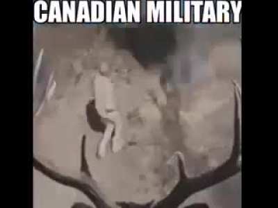 Canadians don't screw around...