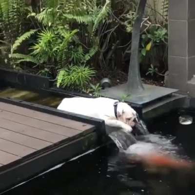 "I am one of the fishies now"
