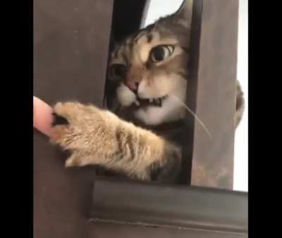 Wait, I think I'm stuck