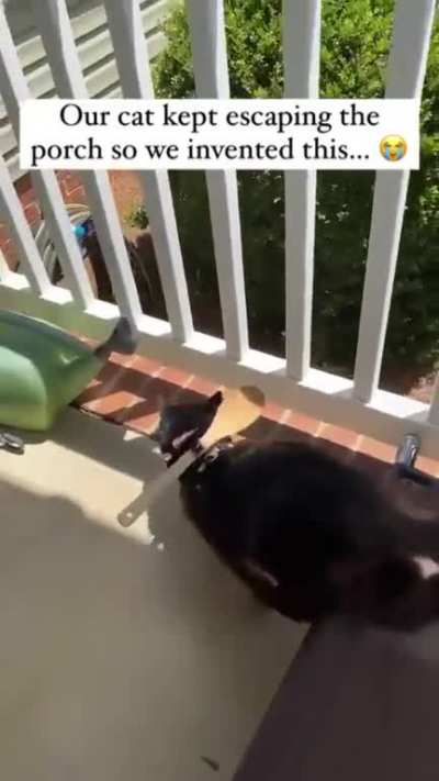 Now i&rsquo;m waiting to see what they will come up with when the cat will try jumping over