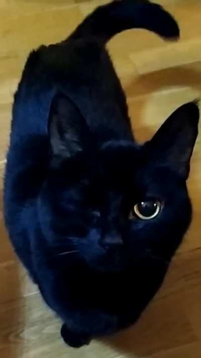 Are you winking at me?