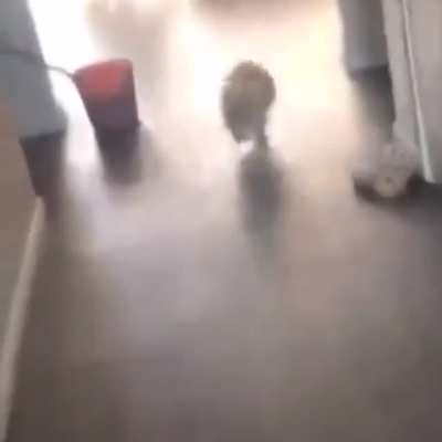 Zoom-
