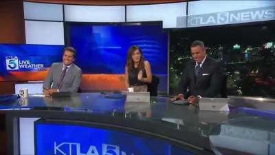 Just Anchormen being dudes, hysterical laughter ensues
