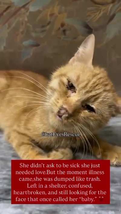 She didn&rsquo;t ask to be sick she just needed love. But the moment illness came, she was dumped like trash. She needs immediate medical care, treatment, and support to get a second chance at life.