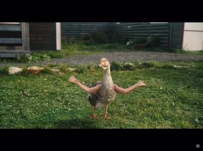 Bird with arms found in a music video.