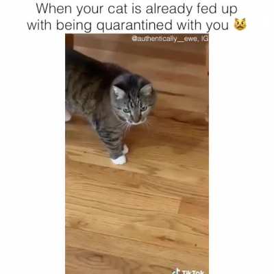 He's fed up